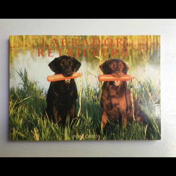 Vintage Labrador Retrievers Postcard Book, c 2000 - Picture 1 of 3